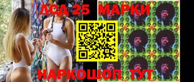 ПСИЛОЦИБИНОВЫЕ ГРИБЫ Можга