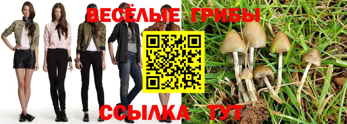 Псилоцибиновые грибы MAGIC MUSHROOMS Шадринск