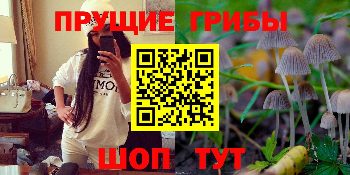 Шадринск  Галлюциногенные грибы Psilocybe  Псилоцибиновые грибы Magic Shrooms  Вход с VPN 